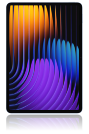 Pad 7