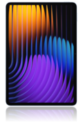 Pad 7