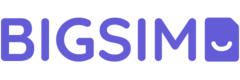 BigSIM