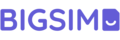 BigSIM